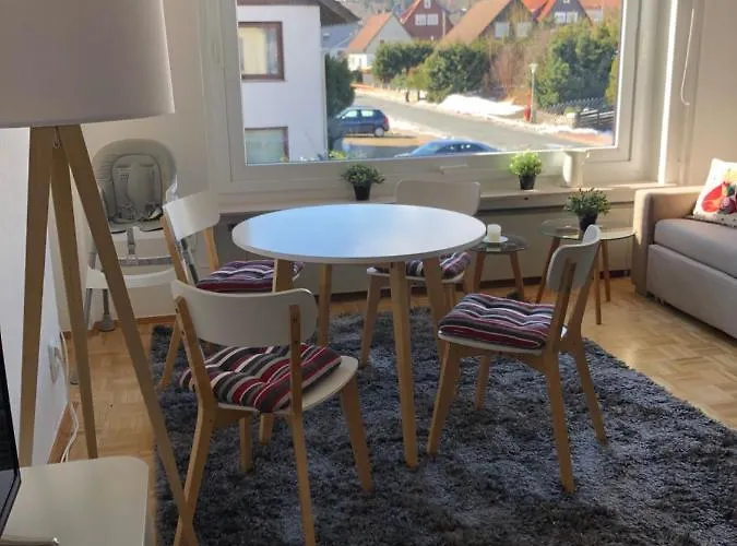 公寓 Harzsonne 布劳恩拉格