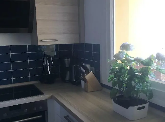 Harzsonne * 布劳恩拉格